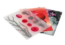 Carpeta dossier