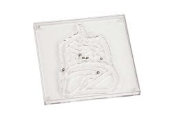 Juego habilidad intestino