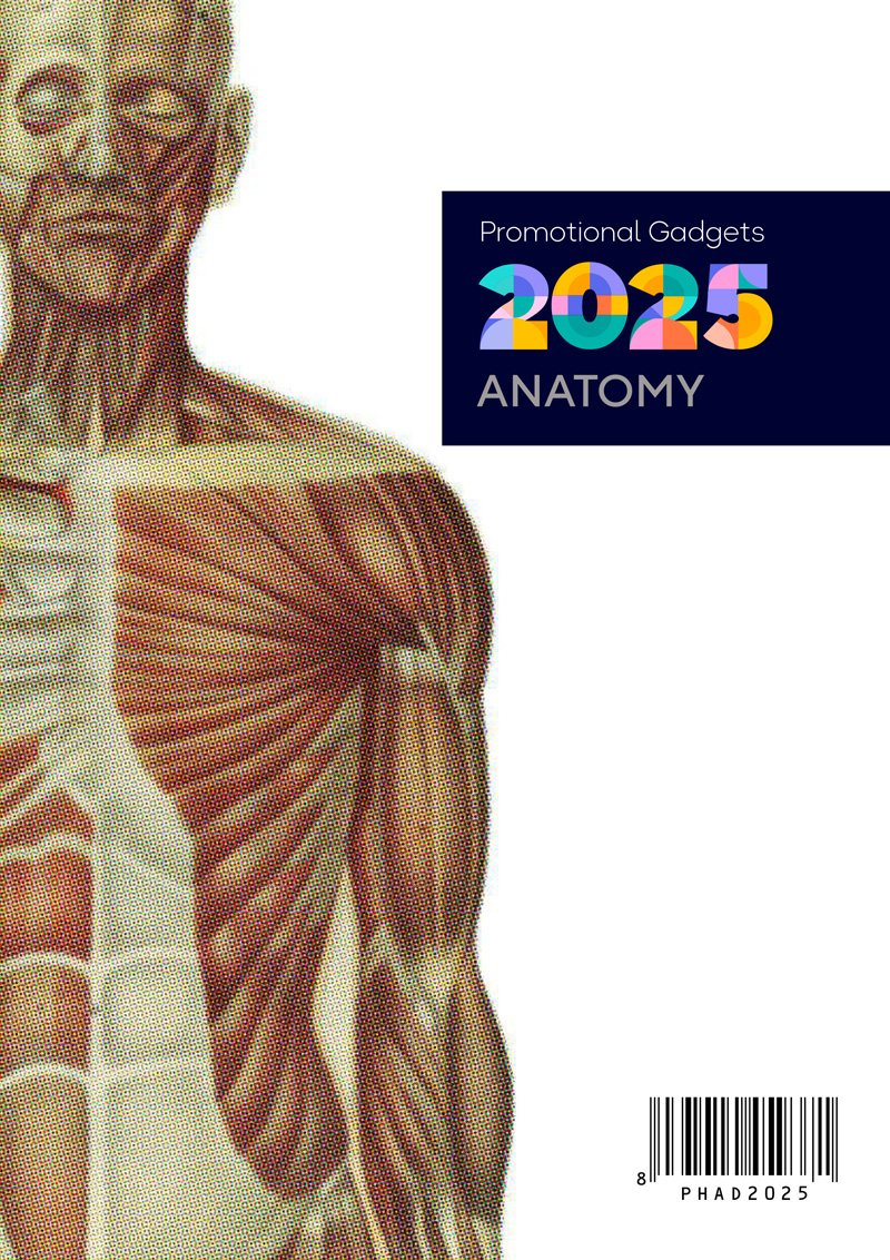 Anatomía